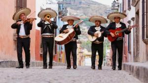 Fiestas, Novias, Flores Sin datos  fiestas